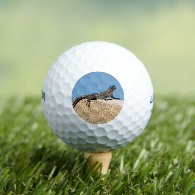 Balles De Golf Lézard sur Brique (T-shirt Insitu)