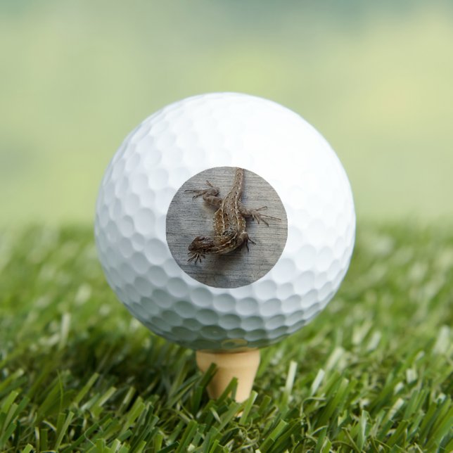 Balles De Golf Lézard sur ciment (T-shirt Insitu)