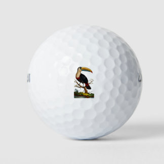 Balles De Golf Linnaeus Birds - Toucan