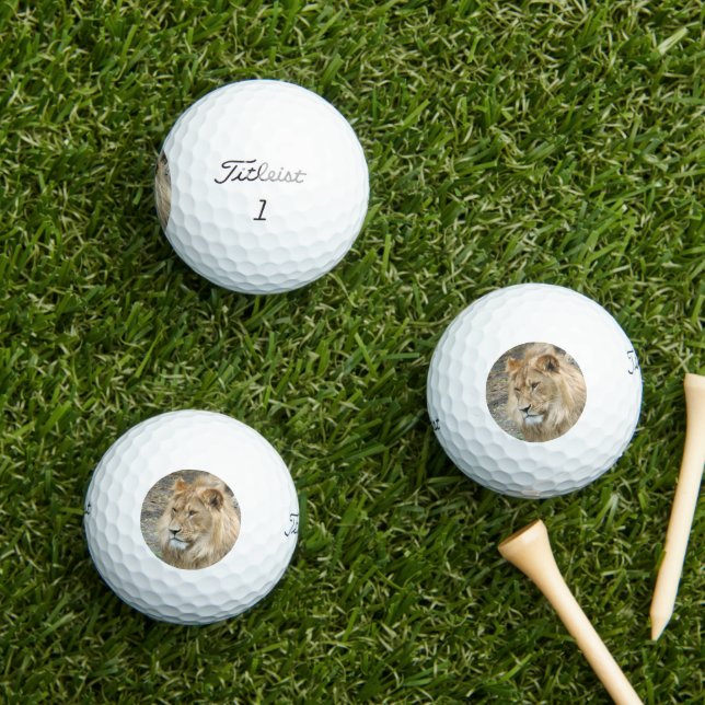 Balles De Golf Lion 011 (Herbe in situ)