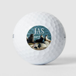 Balles De Golf Lions de la mer de San Diego