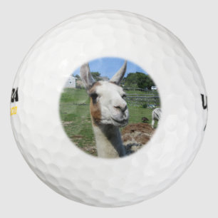 Balles De Golf Llama