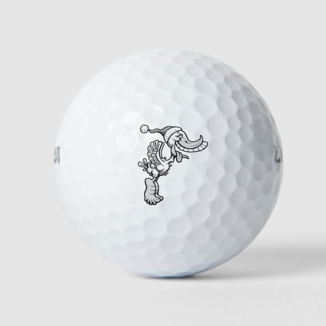 Balles De Golf L'Oie de Noël (Devant)
