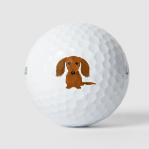 Balles De Golf Long Haired Dachshund   Doxie mignon chien de dess