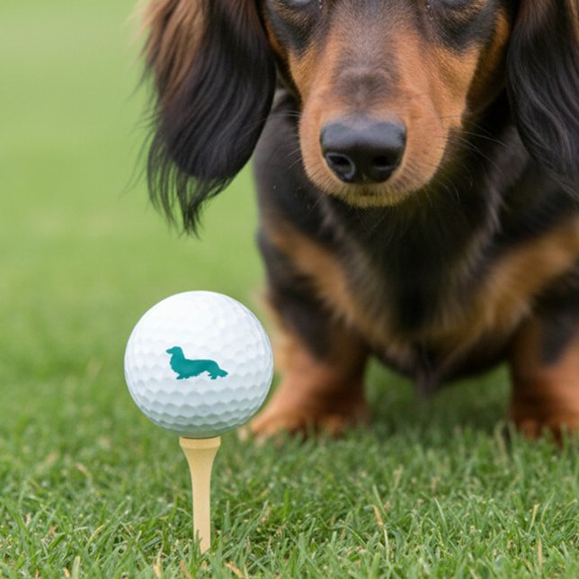 Balles De Golf Longue Cheveux Dachshund Turquoise Golfer Cadeau (Long hair dachshund golf balls for wiener dog loving golfers)