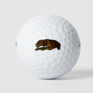 Balles De Golf Löwe