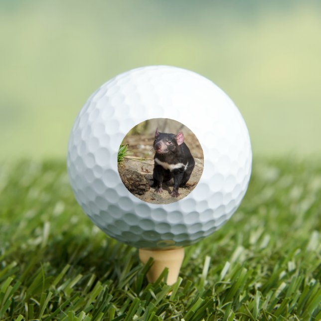 Balles De Golf Lumière du désert – Diable de Tasmanie (T-shirt Insitu)