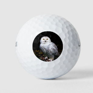 Balles De Golf Magnifique harfang des neiges d'hiver