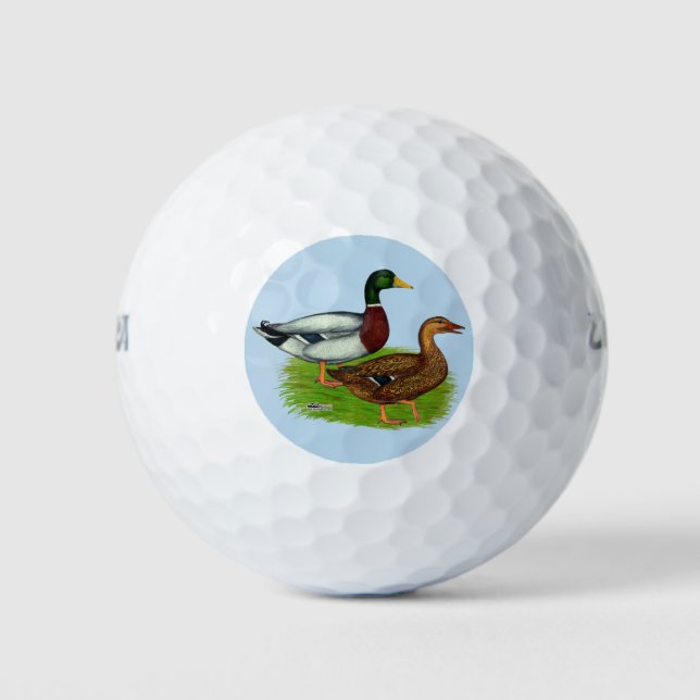 Balles De Golf Mallard Drake et Duck (Devant)