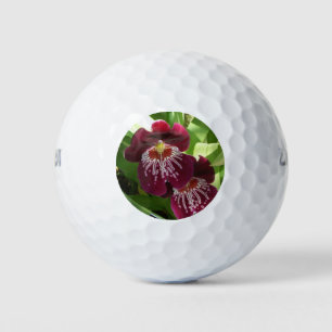 Balles De Golf Maroon Orchids II