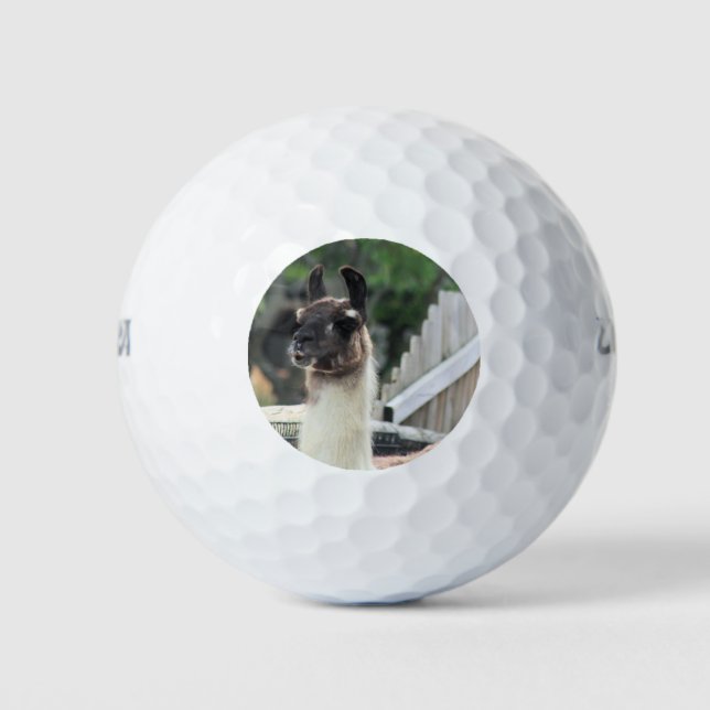 Balles De Golf Méfiez-vous du lama ! (Devant)