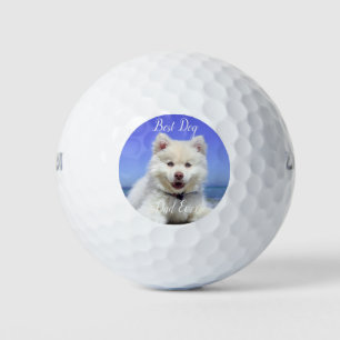 Balles De Golf Meilleur Chien Papa Jamais Photo Animaux Amusants 