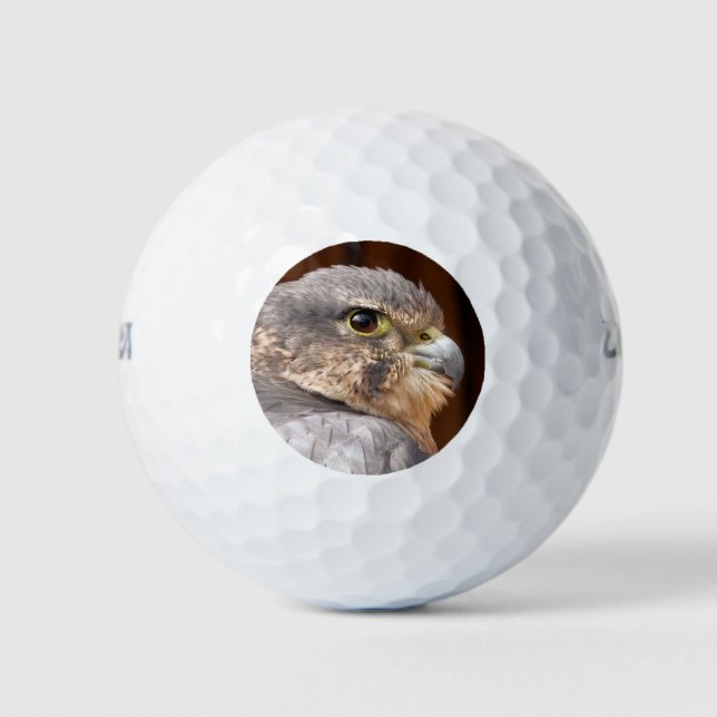 BALLES DE GOLF MERLIN FALCON OISEAU DE PREY (Devant)