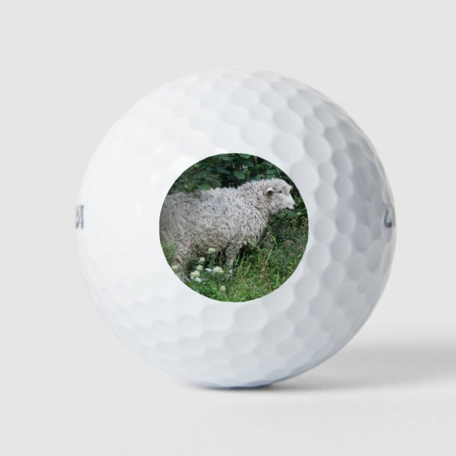 Balles De Golf Mignonette Gourde Manger Golf Ball (Devant)