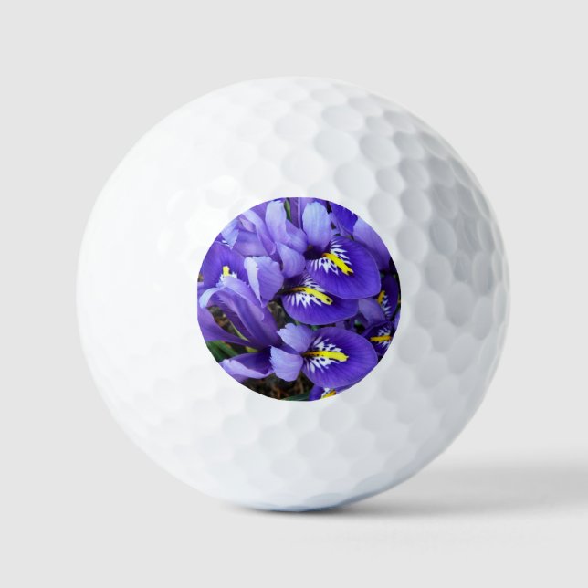 Balles De Golf Miniature Bleu Irises Printemps Floral (Recto)