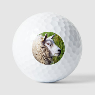 BALLES DE GOLF MOQUETTE