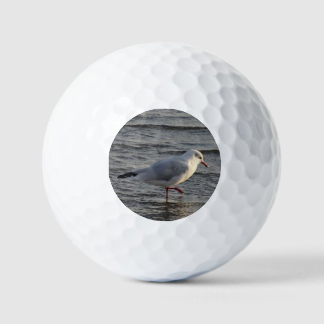 Balles De Golf Mouette mignonne (Recto)