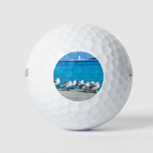 Balles De Golf Mouettes, plage de sable, Nassau, Bahamas