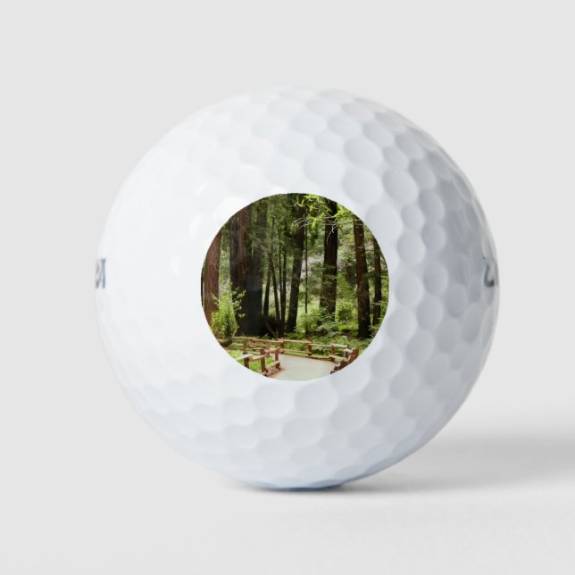 Balles De Golf Muir Woods Chemin I Nature Photographie (Devant)