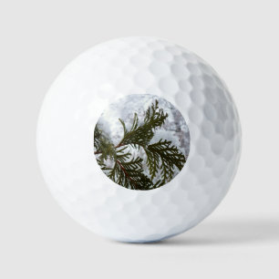 Balles De Golf Neige sur les branches À feuillage persistant