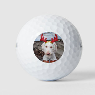 Balles De Golf Noël Ollie