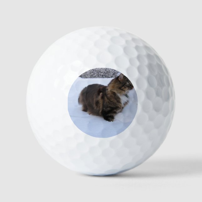 Balles De Golf norwegian forest cat in snow (Recto)