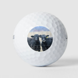 Balles De Golf Observateurs de Bovine