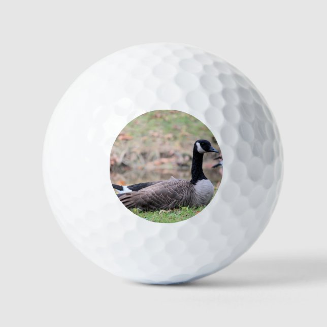 Balles De Golf Oie (Recto)