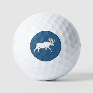 Balles De Golf Oie blanche