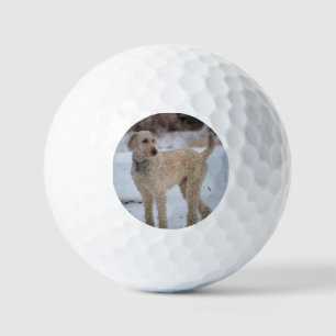 Balles De Golf Ollie