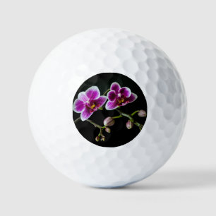 Balles De Golf Orchidée rose blanc couleur sur noir pâle doux
