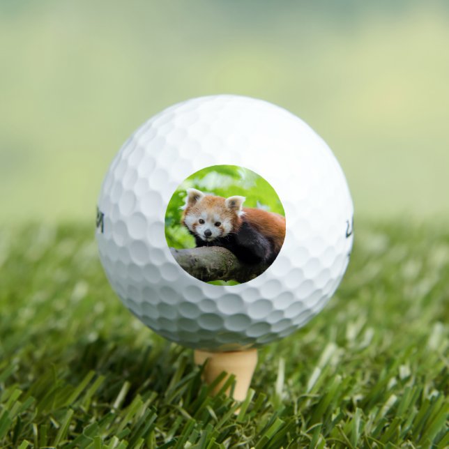 Balles De Golf Panda rouge (T-shirt Insitu)