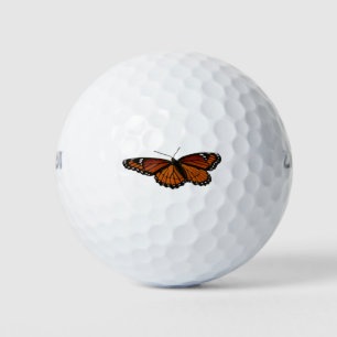 Balles De Golf Papillon Viceroy Belle photographie de la nature