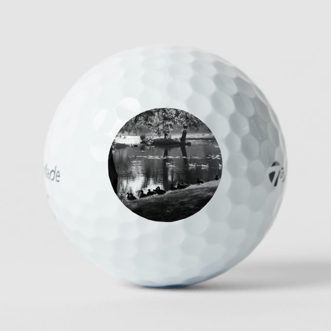 Balles De Golf Park Life tmtp5 gbm (Recto)