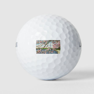 Balles De Golf PAU45 Washington Monument 2.tif