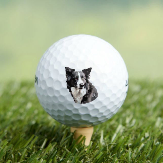 Balles De Golf Paw-fect (T-shirt Insitu)