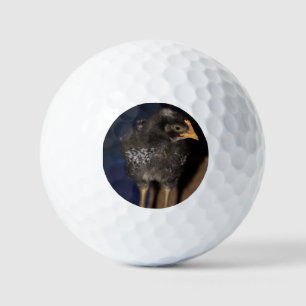 Balles De Golf Pep