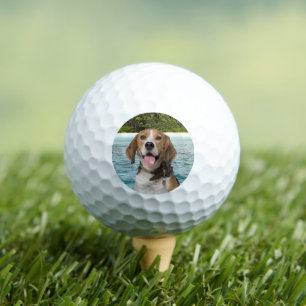 Balles De Golf Personnalisé Chien Photo Chien de Compagnie Modern