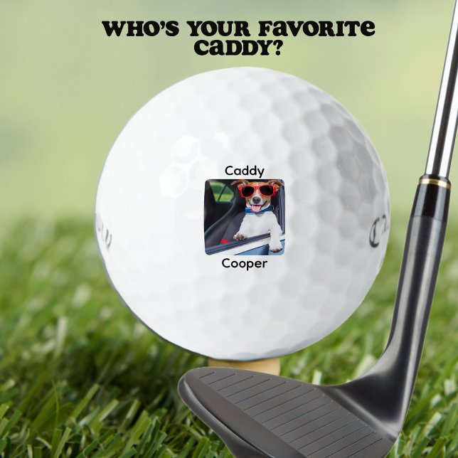 Balles De Golf Personnalisé Créer Votre Propre Chien Photo Person (Funny Pet Photo Personalized With Caddy Name. Fun for all types of golfers. )