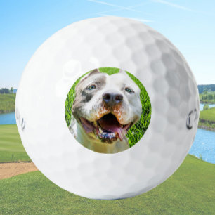 Balles de golf personnalisées avec photo de chien