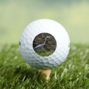 Balles De Golf Photo de Bird Blue Heron