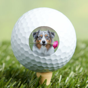 Balles De Golf Photo de chien personnalisé