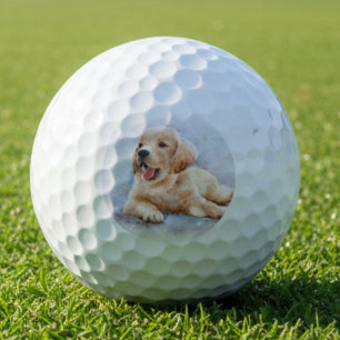 Balles De Golf Photo de chien personnalisée