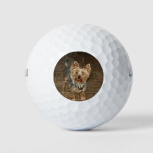 Balles De Golf Photo personnalisée pour animal de compagnie ou fa
