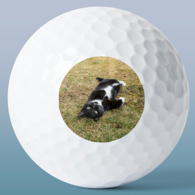 Balles De Golf Photo personnalisée pour animal de compagnie Perso (Personalized pet photo circle frame custom golf ball for animal lovers)