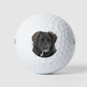 Balles De Golf Photo personnalisée pour animaux