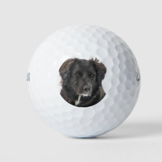 Balles De Golf Photo personnalisée pour animaux