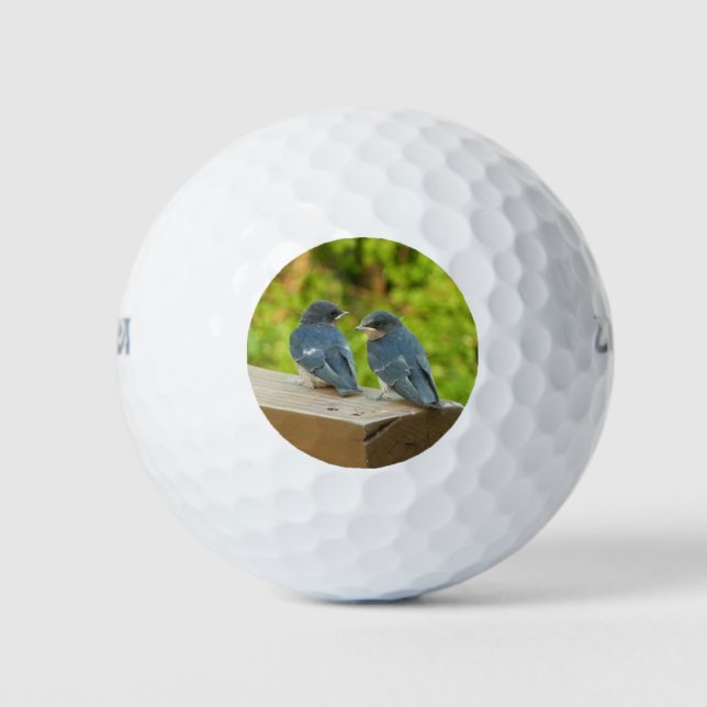 Balles De Golf Photographie de bébé hirondelles de cheminée dans  (Devant)