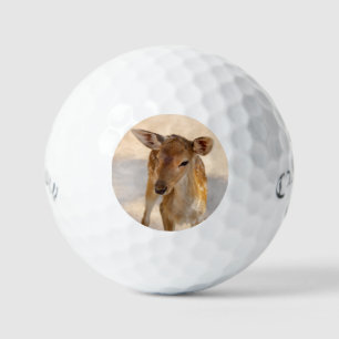 Balles De Golf Photographie de cerfs fantaisistes en forêt