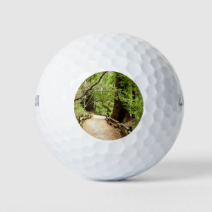 Balles De Golf Photographie de la nature du chemin Muir Woods II